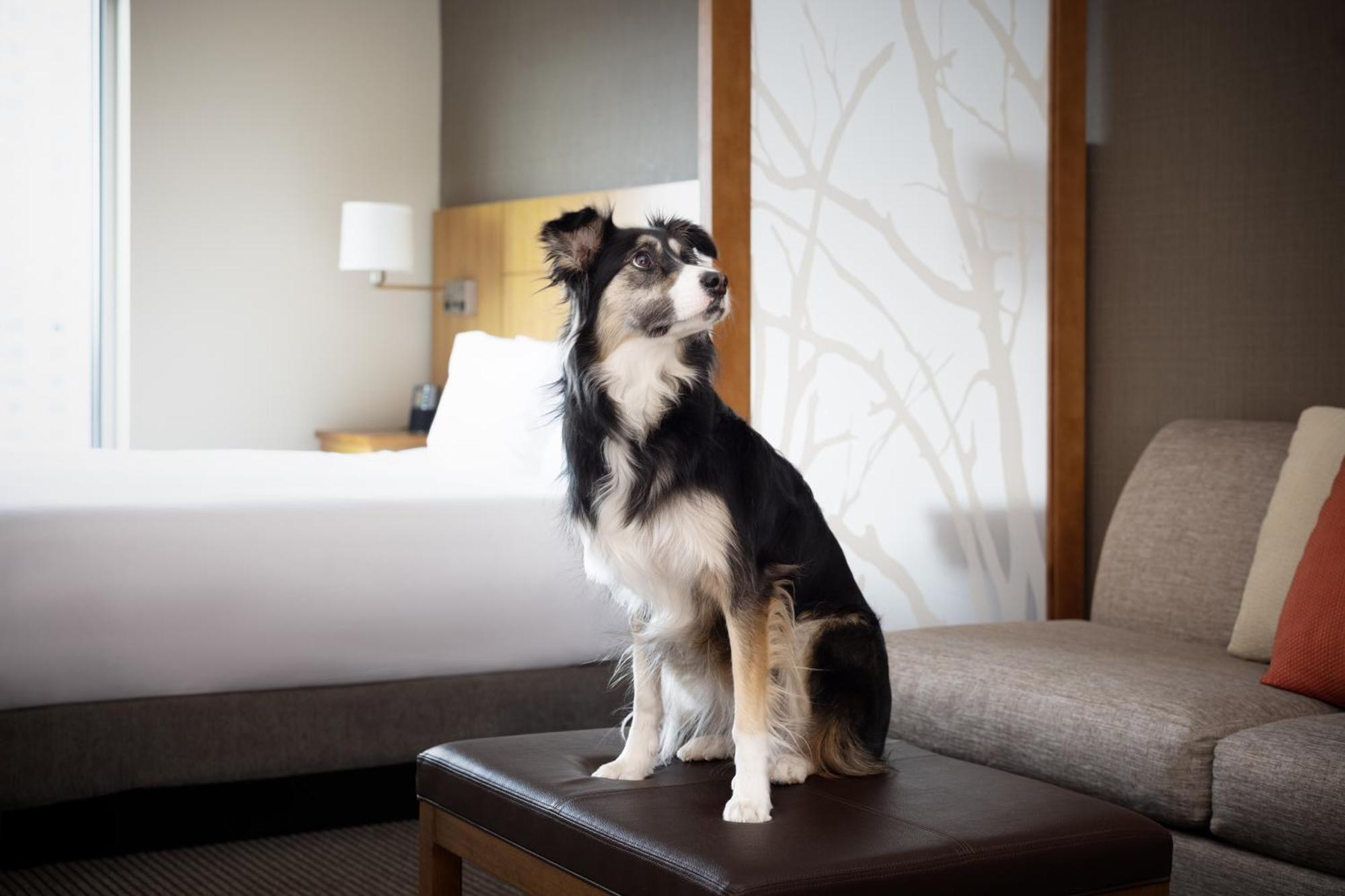 Hyatt Place Denver Downtown Dış mekan fotoğraf
